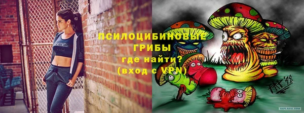 гашик Михайлов