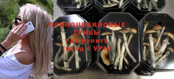 ALPHA PVP Гусь-Хрустальный