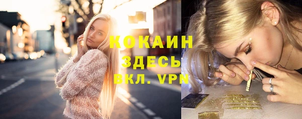 гашик Михайлов