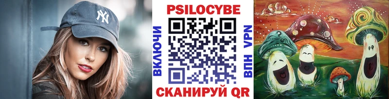 цена   Октябрьск  Галлюциногенные грибы Psilocybe 